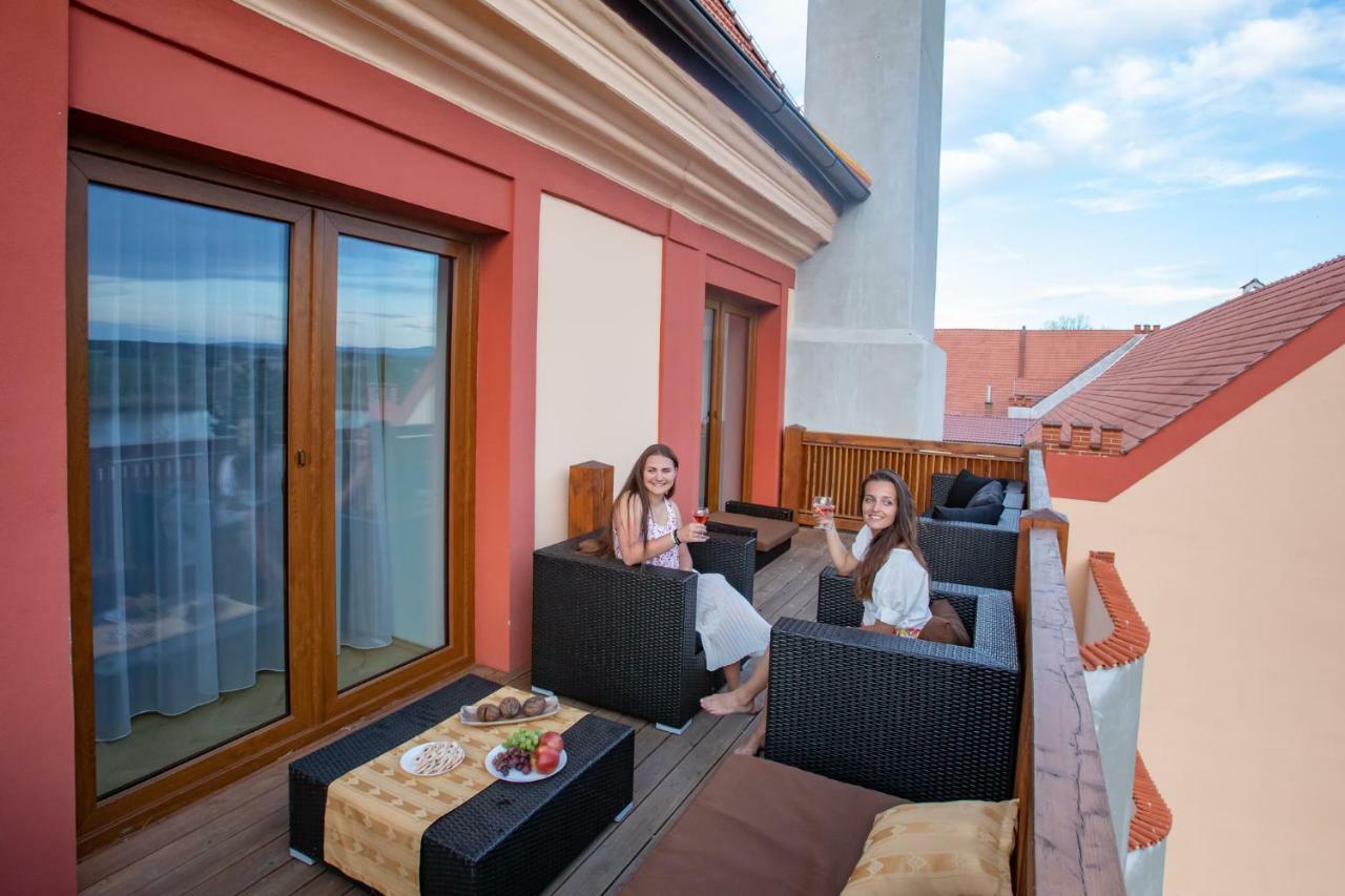 Residence Safari Resort - Chateau Borovany  エクステリア 写真