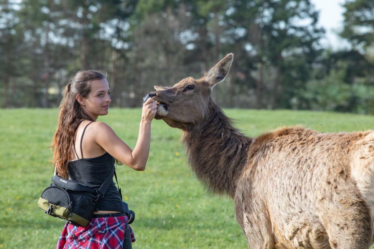 Residence Safari Resort - Chateau Borovany  エクステリア 写真
